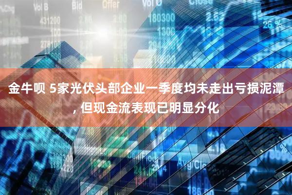 金牛呗 5家光伏头部企业一季度均未走出亏损泥潭, 但现金流表现已明显分化