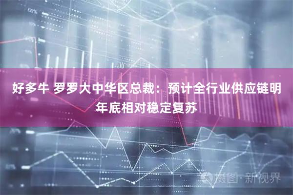 好多牛 罗罗大中华区总裁：预计全行业供应链明年底相对稳定复苏