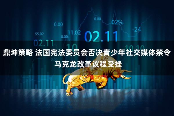 鼎坤策略 法国宪法委员会否决青少年社交媒体禁令 马克龙改革议程受挫
